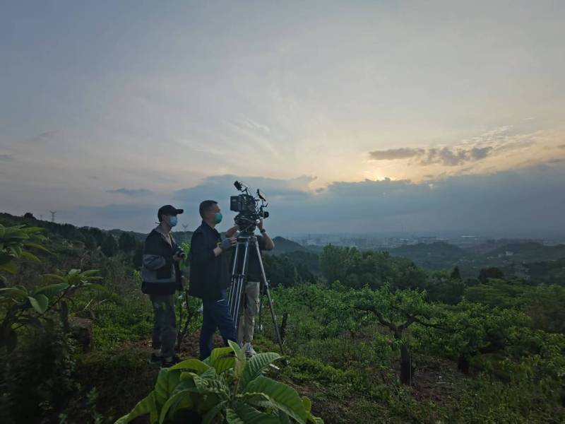 创意破圈！清浦区电商产品宣传视频用故事化叙事引爆流量