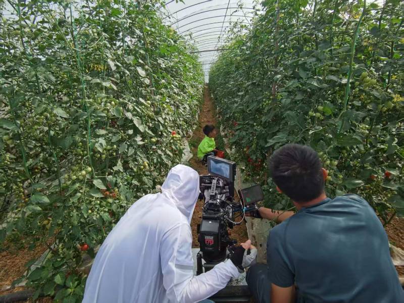 清浦区产品宣传视频拍摄公司进阶指南，助力品牌抢占传播高地